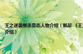 王之逆袭继承意志人物介绍（凯瑟 《王之逆袭：意志的继承者》中的角色相关内容简介介绍）