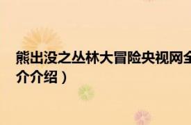 熊出没之丛林大冒险央视网全集（熊出没丛林大冒险相关内容简介介绍）