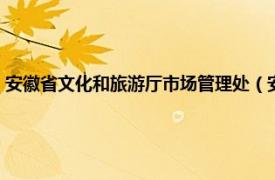 安徽省文化和旅游厅市场管理处（安徽省文化和旅游厅相关内容简介介绍）