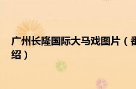 广州长隆国际大马戏图片（番禺长隆国际大马戏相关内容简介介绍）