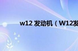 w12 发动机（W12发动机相关内容简介介绍）