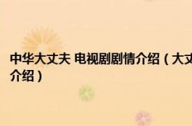 中华大丈夫 电视剧剧情介绍（大丈夫 1977年香港亚视电视剧相关内容简介介绍）