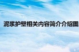 泥浆护壁相关内容简介介绍图片（泥浆护壁相关内容简介介绍）