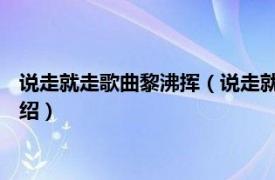 说走就走歌曲黎沸挥（说走就走 黎沸挥音乐专辑相关内容简介介绍）