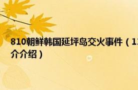 810朝鲜韩国延坪岛交火事件（1123朝鲜韩国延坪岛交火事件相关内容简介介绍）