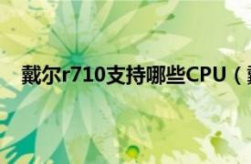 戴尔r710支持哪些CPU（戴尔R710相关内容简介介绍）