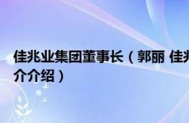 佳兆业集团董事长（郭丽 佳兆业美好执行董事副总裁相关内容简介介绍）