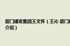 厦门建发集团王文怀（王沁 厦门建发集团有限公司原总经理相关内容简介介绍）