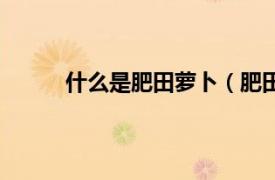 什么是肥田萝卜（肥田萝卜相关内容简介介绍）