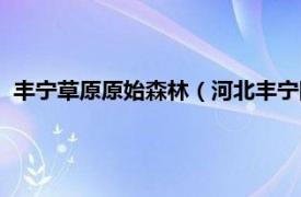 丰宁草原原始森林（河北丰宁国家森林公园相关内容简介介绍）