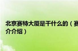 北京赛特大厦是干什么的（赛特 北京朝阳区赛特大厦相关内容简介介绍）