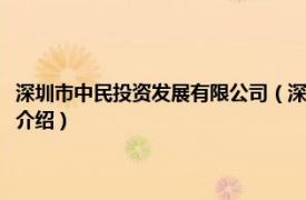 深圳市中民投资发展有限公司（深圳利民网投资管理有限公司相关内容简介介绍）