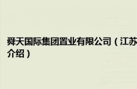 舜天国际集团置业有限公司（江苏舜天国际集团创业有限公司相关内容简介介绍）