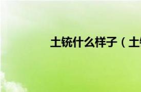 土铳什么样子（土铳相关内容简介介绍）