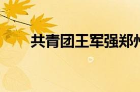 共青团王军强郑州市委组织部长简介