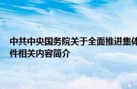 中共中央国务院关于全面推进集体林权制度改革的意见；2008年国务院文件相关内容简介