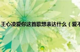 王心凌爱你这首歌想表达什么（爱不爱 王心凌演唱歌曲相关内容简介介绍）