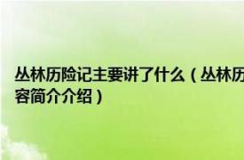 丛林历险记主要讲了什么（丛林历险记 2020年电影《丛林历险记》相关内容简介介绍）