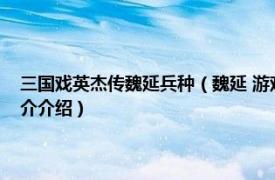 三国戏英杰传魏延兵种（魏延 游戏《三国杀英雄传》中的英雄相关内容简介介绍）