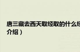 唐三藏去西天取经取的什么经文（唐三藏西天取经相关内容简介介绍）