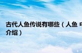 古代人鱼传说有哪些（人鱼 中国古代神话中的形象相关内容简介介绍）