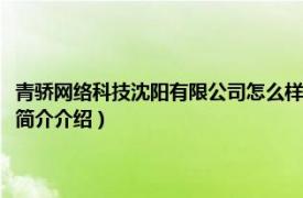 青骄网络科技沈阳有限公司怎么样（黑龙江青骄网络科技有限公司相关内容简介介绍）