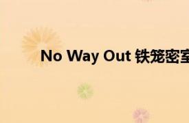 No Way Out 铁笼密室淘汰赛相关内容简介介绍