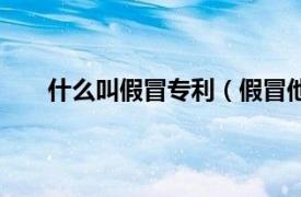 什么叫假冒专利（假冒他人专利相关内容简介介绍）