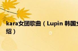 kara女团歌曲（Lupin 韩国女团KARA音乐专辑相关内容简介介绍）