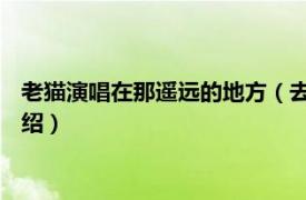 老猫演唱在那遥远的地方（去远方 老猫演唱歌曲相关内容简介介绍）