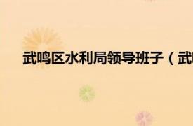 武鸣区水利局领导班子（武鸣县水利局相关内容简介介绍）