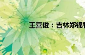 王喜俊：吉林郑锦物流有限公司司机简介