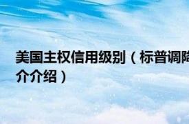 美国主权信用级别（标普调降美国长期主权信用评级相关内容简介介绍）