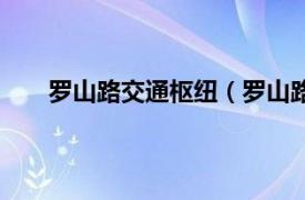 罗山路交通枢纽（罗山路立交桥相关内容简介介绍）