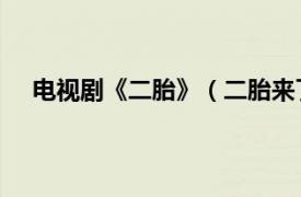 电视剧《二胎》（二胎来了 电视剧相关内容简介介绍）