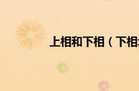 上相和下相（下相坬相关内容简介介绍）