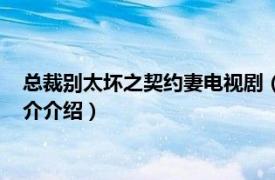 总裁别太坏之契约妻电视剧（总裁别太坏之契约娇妻相关内容简介介绍）