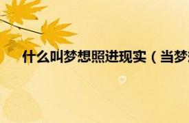 什么叫梦想照进现实（当梦想照进现实相关内容简介介绍）