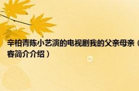 辛柏青陈小艺演的电视剧我的父亲母亲（我的父亲母亲 2013年陈小艺主演电视剧相关内容简介介绍）