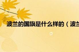 波兰的国旗是什么样的（波兰共和国国旗相关内容简介介绍）