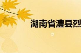 湖南省澧县烈士相关内容简介