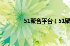 51聚合平台（51聚网相关内容简介介绍）