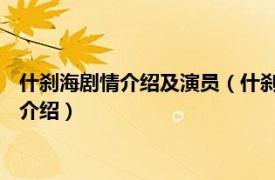 什刹海剧情介绍及演员（什刹海 功夫剧《什刹海》相关内容简介介绍）