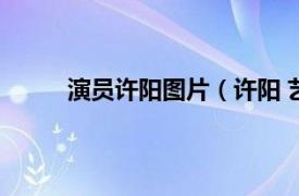 演员许阳图片（许阳 艺术家相关内容简介介绍）