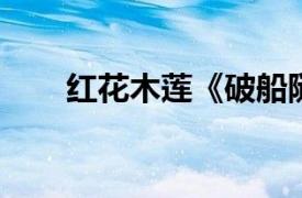 红花木莲《破船随笔》相关内容简介