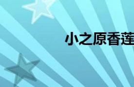 小之原香莲相关内容介绍