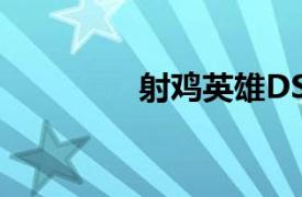 射鸡英雄DS相关内容介绍