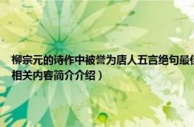 柳宗元的诗作中被誉为唐人五言绝句最佳者的是（瓶梅 明代诗人谭元春创作的五言律诗相关内容简介介绍）