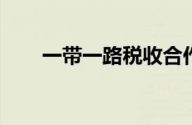 一带一路税收合作会议相关内容简介