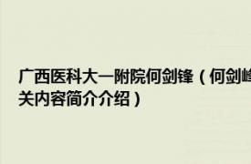 广西医科大一附院何剑锋（何剑峰 广西医科大学第一附属医院主任医师相关内容简介介绍）